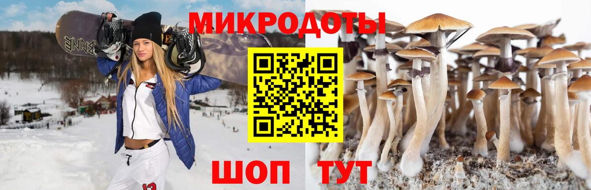Топки  Псилоцибиновые грибы GOLDEN TEACHER  Вход с VPN 