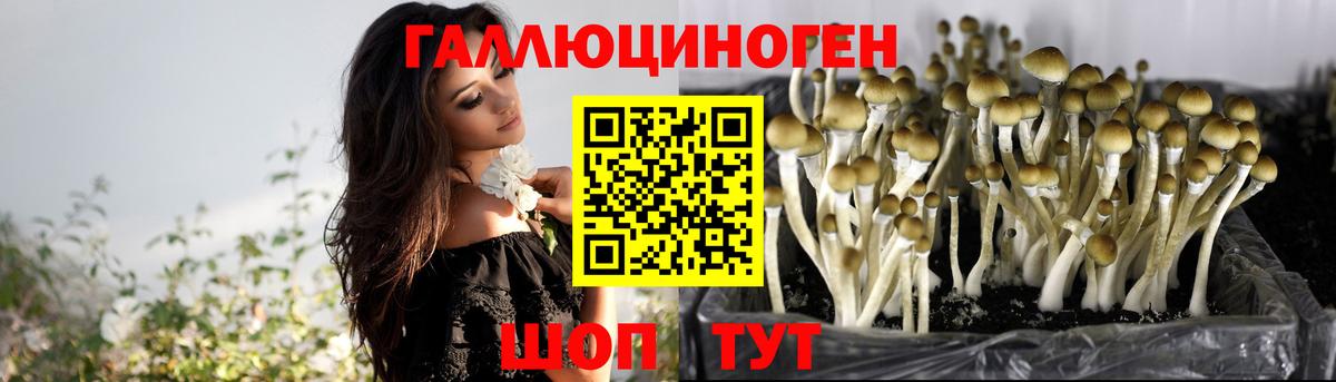 Галлюциногенные грибы мухоморы Топки
